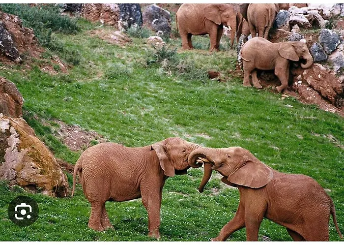 Apartament Maria El Astillero