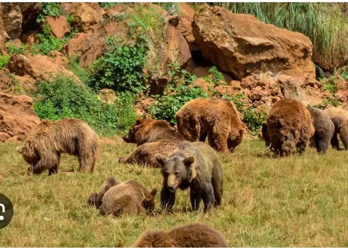 Apartament Maria El Astillero