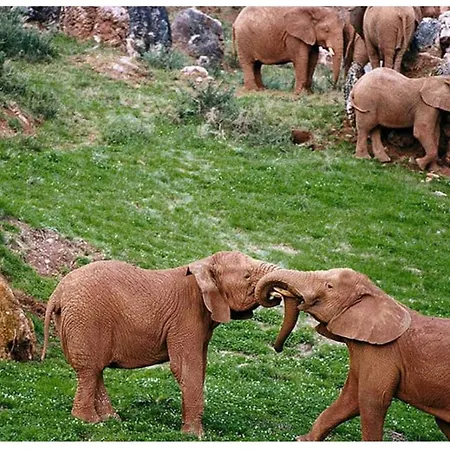 Апартаменты Maria Эль-Астильеро