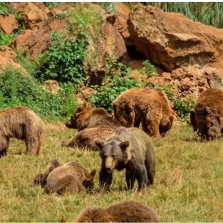 Апартаменты Maria Эль-Астильеро